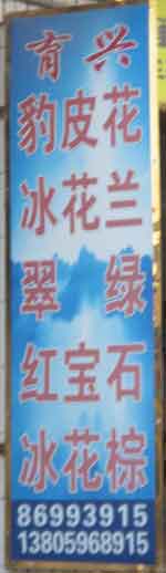 閩南建材第一市場2幢石材商鋪