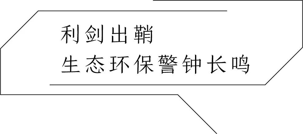 與時代同頻共振，(吉林白產(chǎn)地)蛟河石材全力奏響綠色發(fā)展主旋律