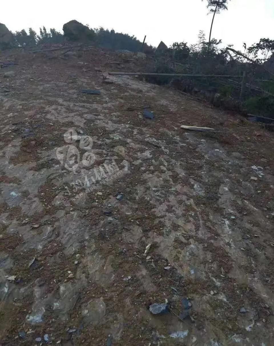 江西省安?？h委書記等領導一行蒞臨方通石業(yè)視察指導！附江西吉安新品青石欣賞！ 